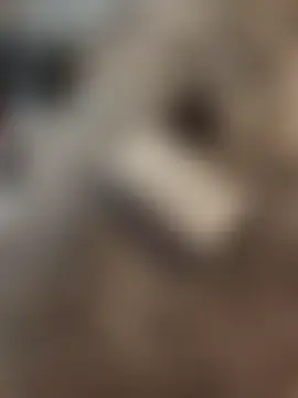 AvaDivaMilf's Live Sex Cam Show