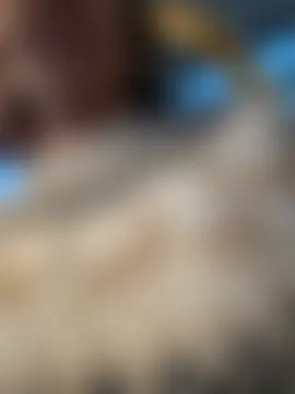 Ninabigtitied's Live Sex Cam Show