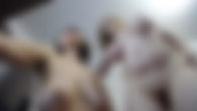 DonnaMagdalena's Live Sex Cam Show