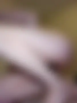 AmethystFoxx's Live Sex Cam Show