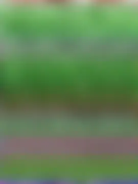 HugeBoobsAlice's Webcam Show