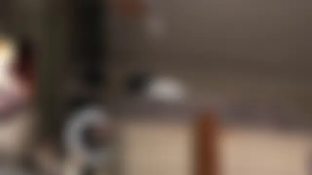 American__Dream's Webcam Show