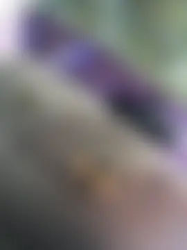 Sonnysoles' Webcam Show