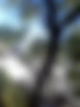 Labellasex's Webcam Show