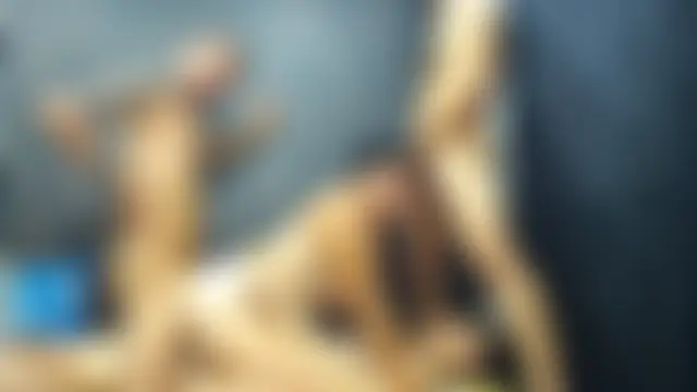 4SexFantastic's Webcam Show