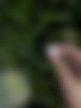 Hamy88's Webcam Show