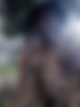 holygrail001's Webcam Show