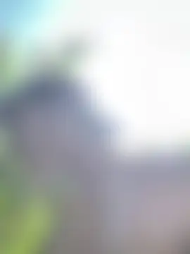 RoomExotic11's Live Sex Cam Show