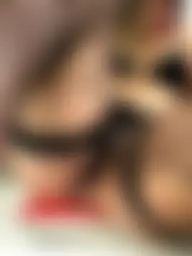 -Angelina's Live Sex Cam Show