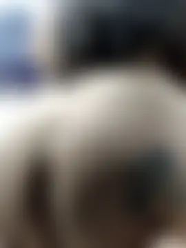 _Sarah-Office1's Webcam Show