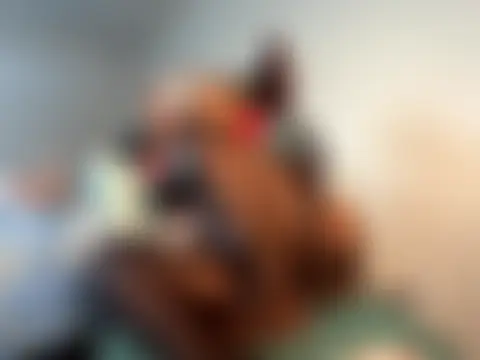 VixenCapri's Webcam Show