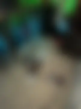 fatfabulous1981's Live Sex Cam Show