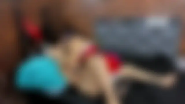 Couple_Gold69's Webcam Show