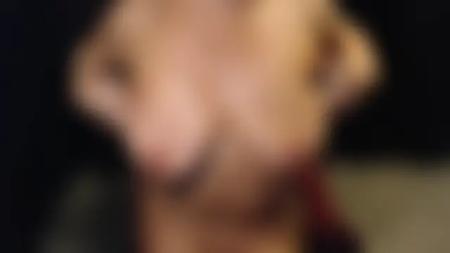 Sweettalexxia19's Live Sex Cam Show