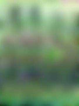 petite_poppy_xox's Live Sex Cam Show