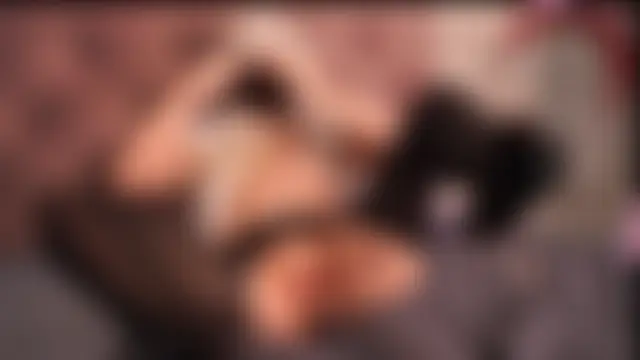 Shiny_Kris' Webcam Show