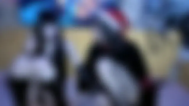 GraypacLive's Live Sex Cam Show