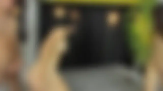 Wet_Girlxxx's Webcam Show