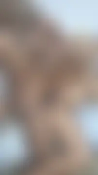 HairyYoungPussy's Live Sex Cam Show