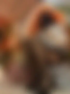 xiao-Lin's Live Sex Cam Show