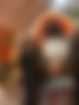 xiao-Lin's Webcam Show