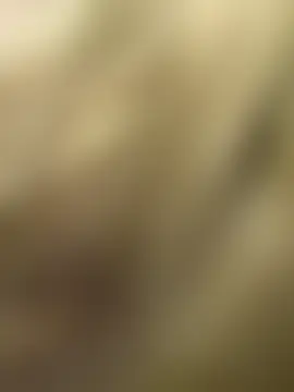 bambi_lu's Webcam Show