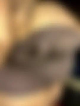 BlessingsXO's Webcam Show