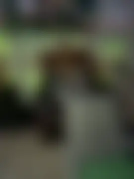 fatfabulous1981's Live Sex Cam Show