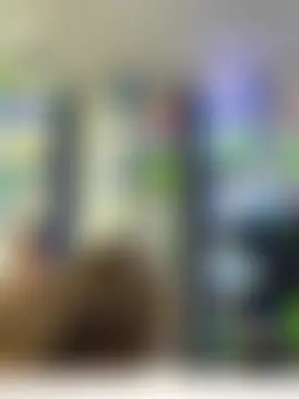 roouse's Webcam Show