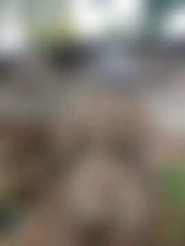 holygrail001's Webcam Show