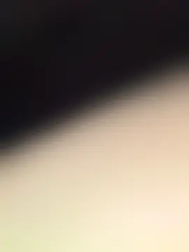 DollyTall's Live Sex Cam Show