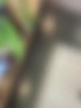 Gatitacarlita's Webcam Show