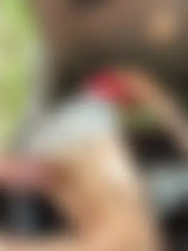 Gatitacarlita's Webcam Show