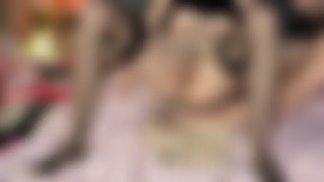 VerhinizCouple's Webcam Show