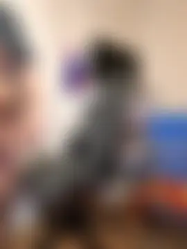 Xoxojloka's Webcam Show