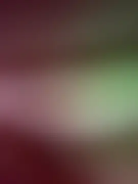 Xoxojloka's Webcam Show