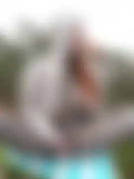 Inked_lorena's Live Sex Cam Show