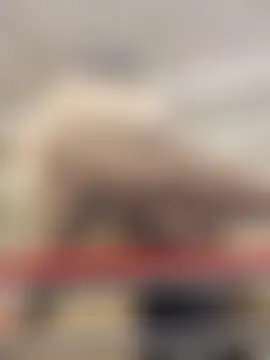 Bondgirl_013's Webcam Show