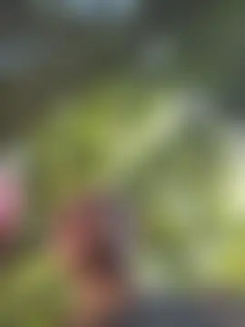 Eva_stark10's Webcam Show