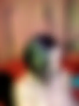 SpiderRose's Webcam Show