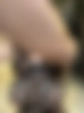 stefannichka's Live Sex Cam Show