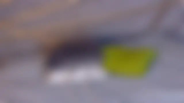 Nick_and_amber's Webcam Show