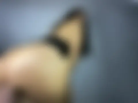 Naia_and_Alex's Webcam Show