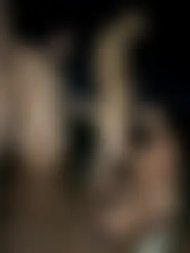 royalgirls_x's Webcam Show