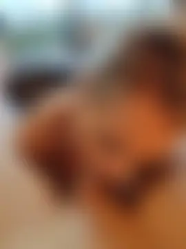 MissLMrJ's Webcam Show