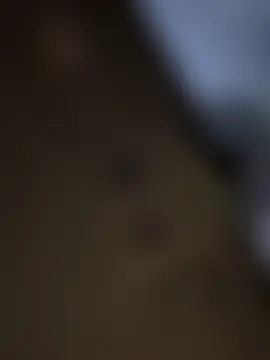 Myrtle_Beach's Live Sex Cam Show