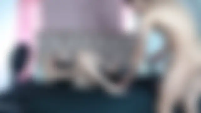 Sexytaty2022's Webcam Show