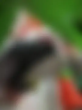 Miia_Jazmin's Webcam Show