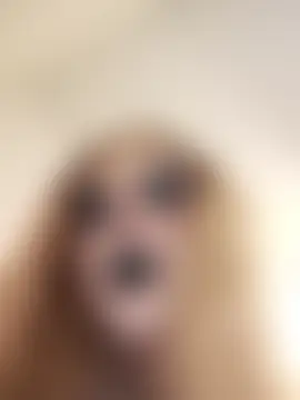 SpiderRose's Live Sex Cam Show