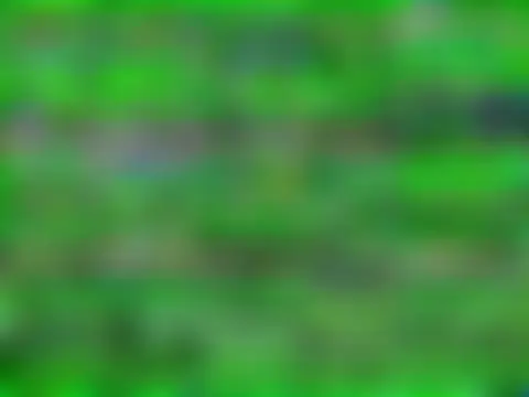 VixenCapri's Webcam Show